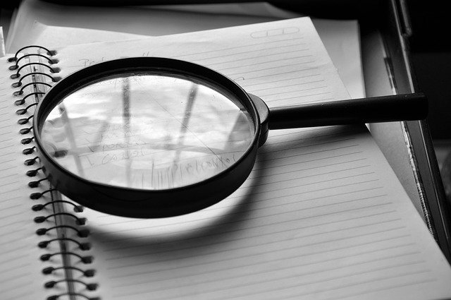 PMI audit requirements